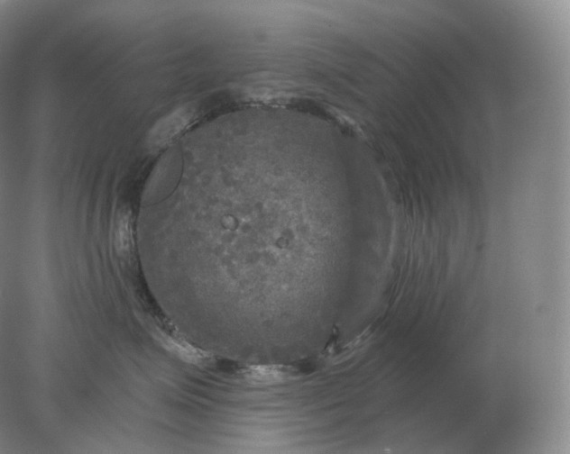 X0000078300623200611172150