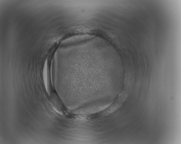 X0000078300624200611172150