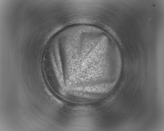 X0000078300625200611172149