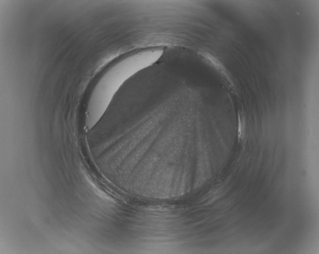 X0000078300627200611172149