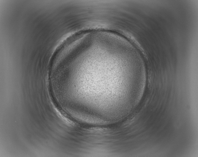 X0000078300629200611172149