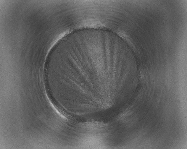 X0000078300630200611172149