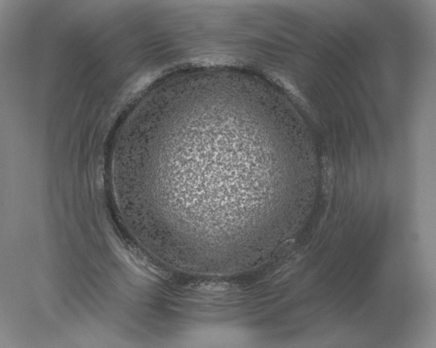 X0000078300631200611172149