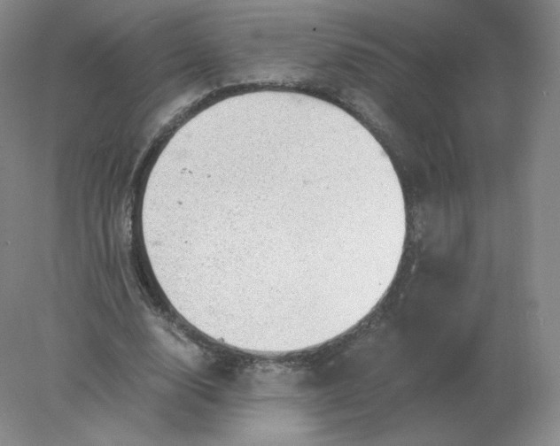 X0000078300632200611172149