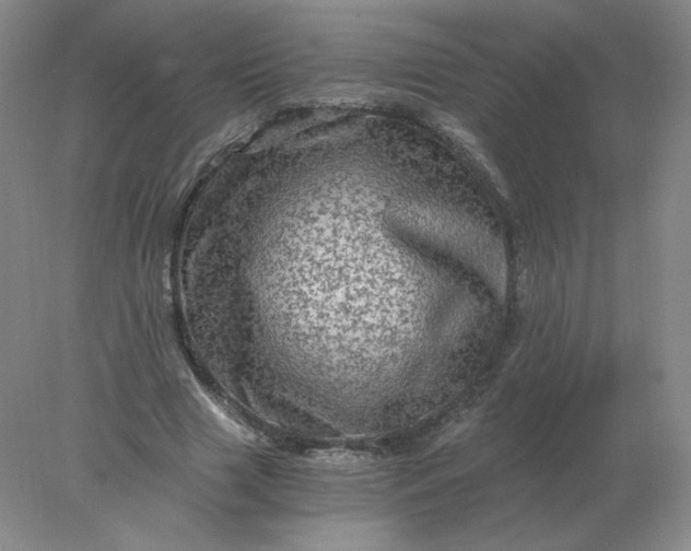 X0000078300633200611172149