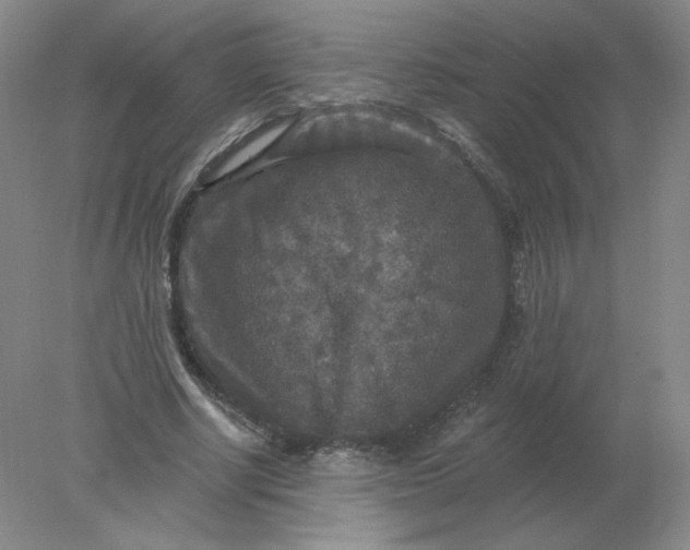 X0000078300634200611172149