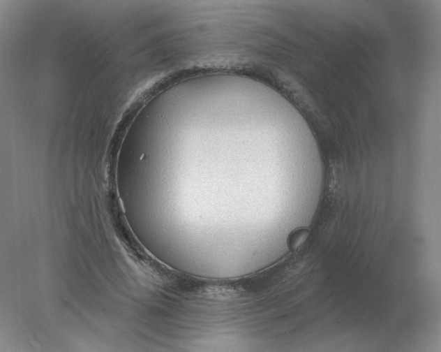 X0000078300636200611172149