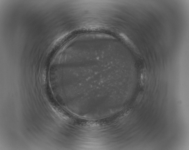 X0000078300640200611172149