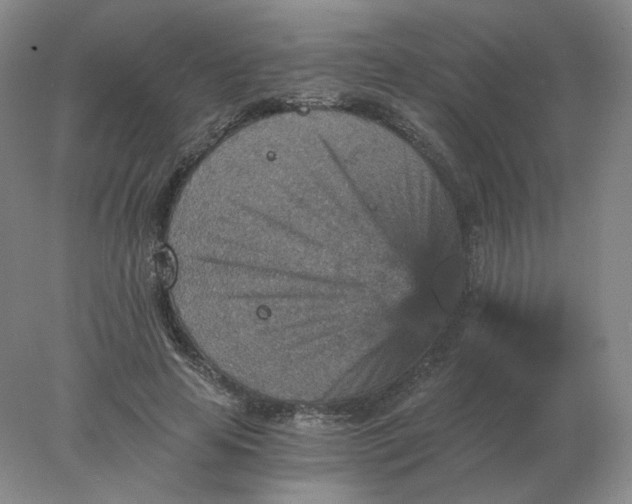 X0000078300641200611172149