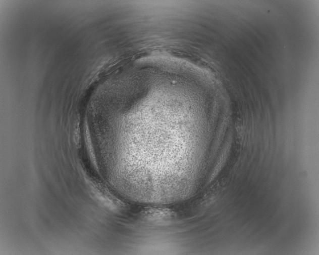 X0000078300642200611172149