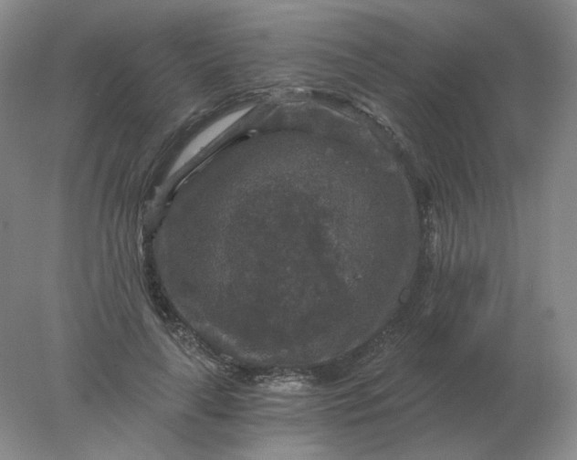 X0000078300643200611172149