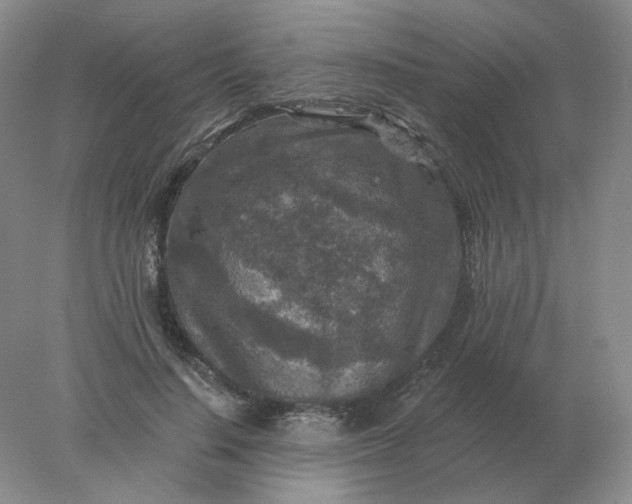 X0000078300644200611172149