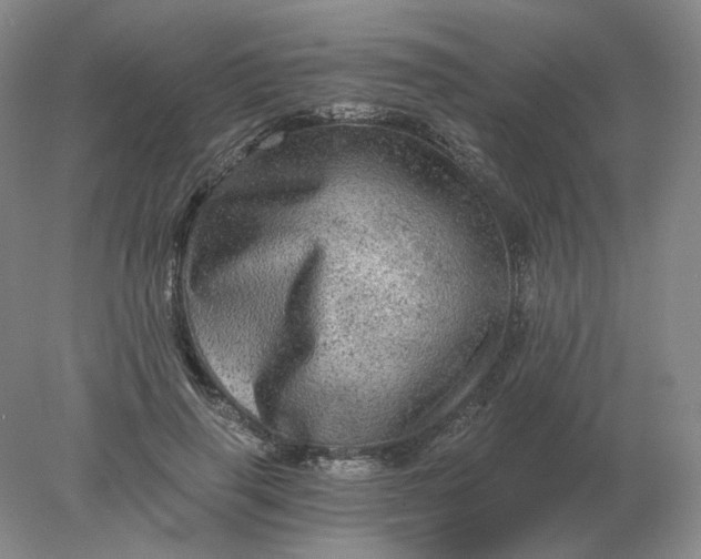 X0000078300645200611172149