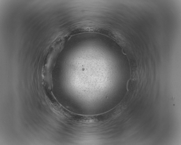 X0000078300646200611172149