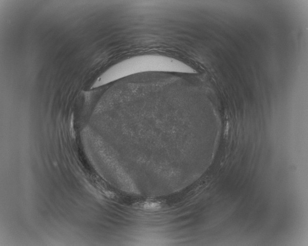 X0000078300647200611172149