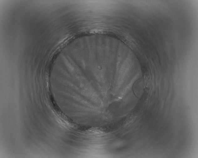 X0000078300648200611172149