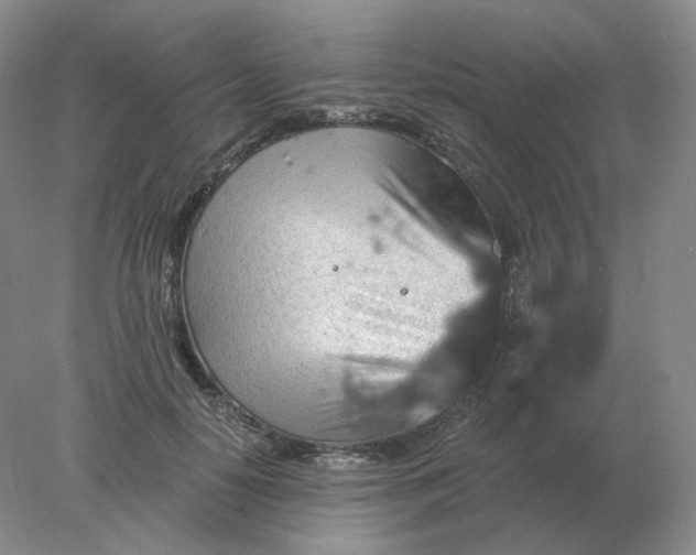 X0000078300650200611172149