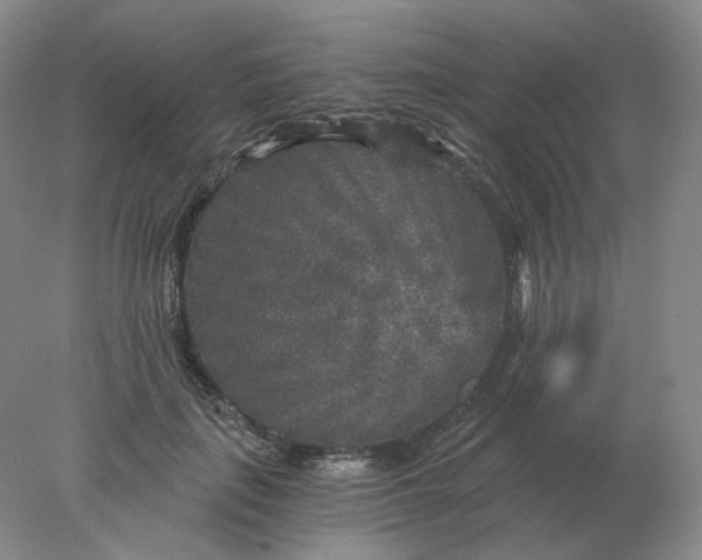 X0000078300651200611172149