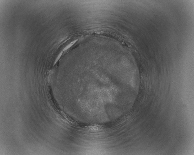 X0000078300652200611172149