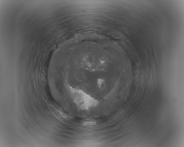 X0000078300653200611172149