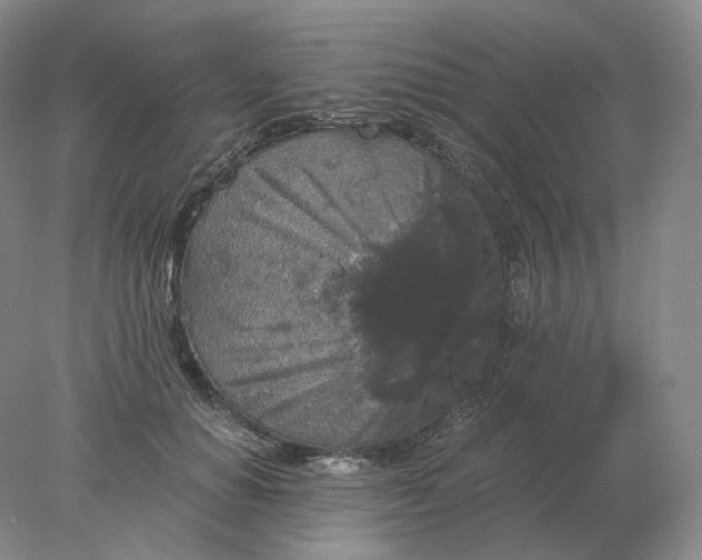 X0000078300654200611172149