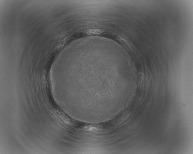 X0000078300655200611172149