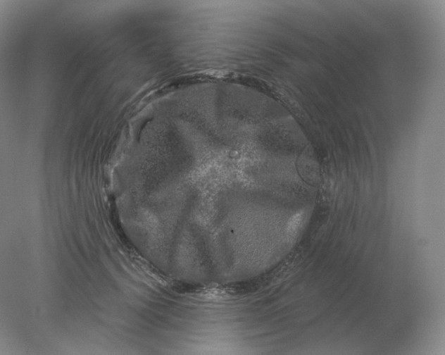 X0000078300656200611172149