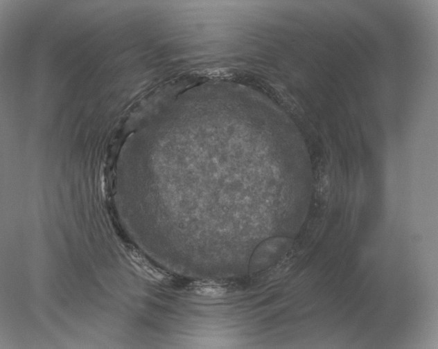 X0000078300658200611172149