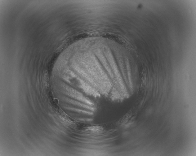 X0000078300659200611172149