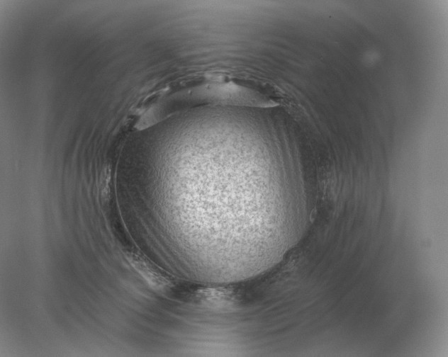 X0000078300660200611172149