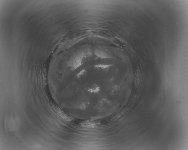 X0000078300661200611172149