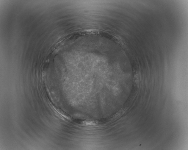 X0000078300662200611172149