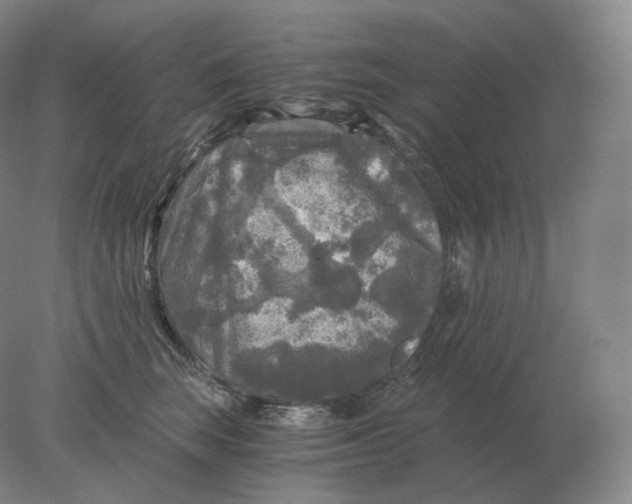 X0000078300663200611172149