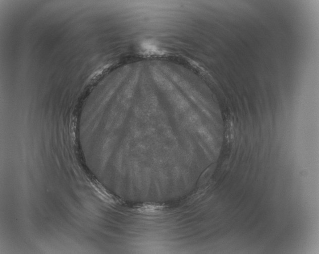 X0000078300664200611172149