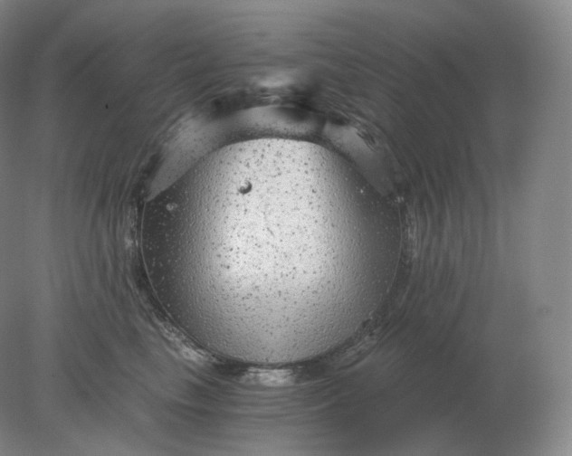 X0000078300665200611172150