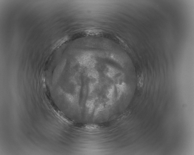 X0000078300666200611172150