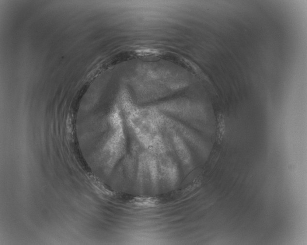 X0000078300667200611172150