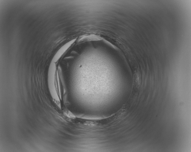 X0000078300668200611172150