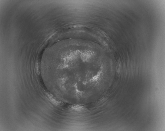 X0000078300669200611172150