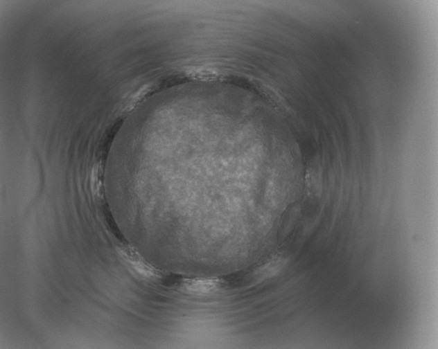 X0000078300671200611172150