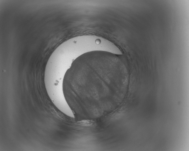 X0000078300672200611172150