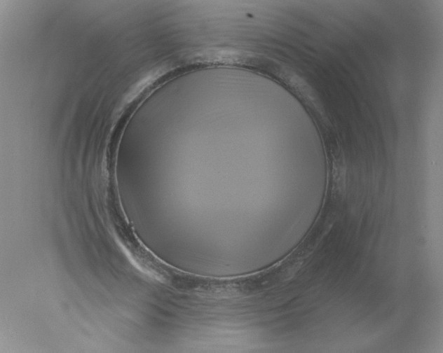 X0000078300674200611172149