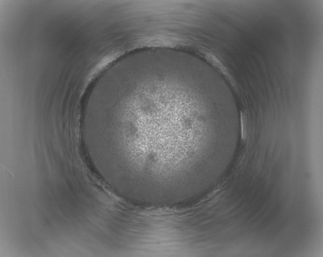 X0000078300675200611172149