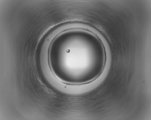 X0000078300676200611172149