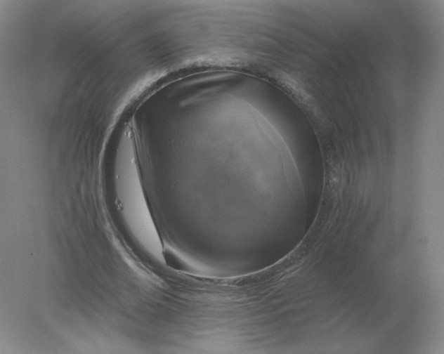 X0000078300678200611172149