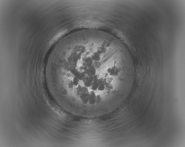 X0000078300679200611172149