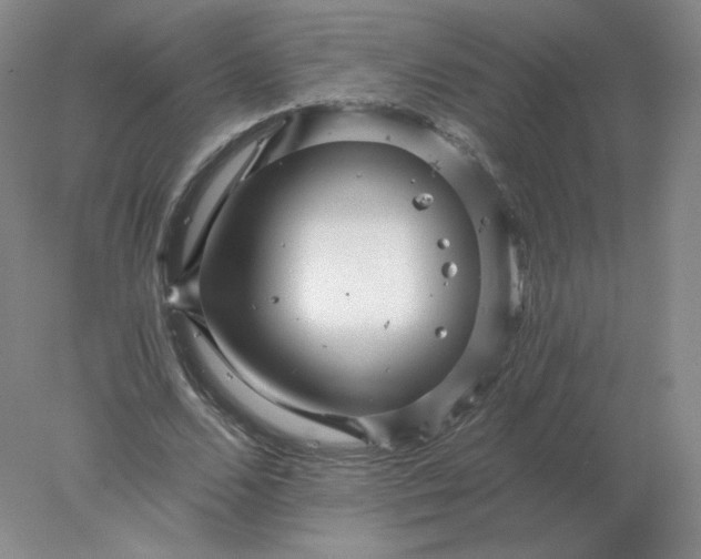 X0000078300680200611172149