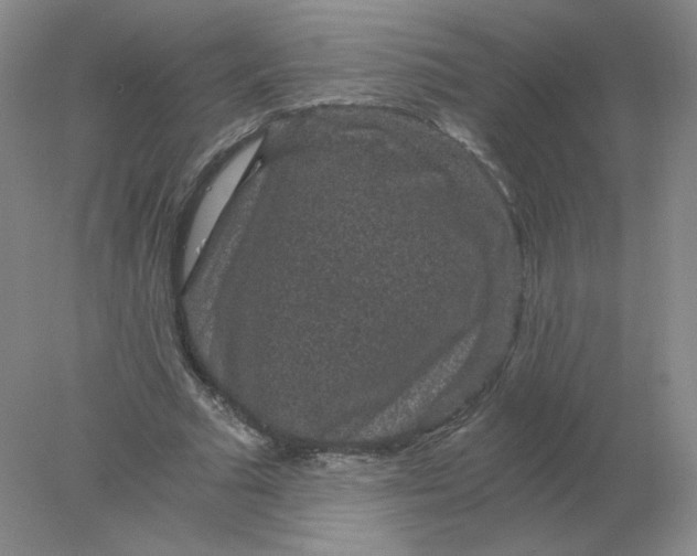 X0000078300681200611172149