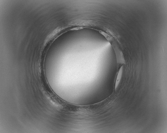 X0000078300682200611172149