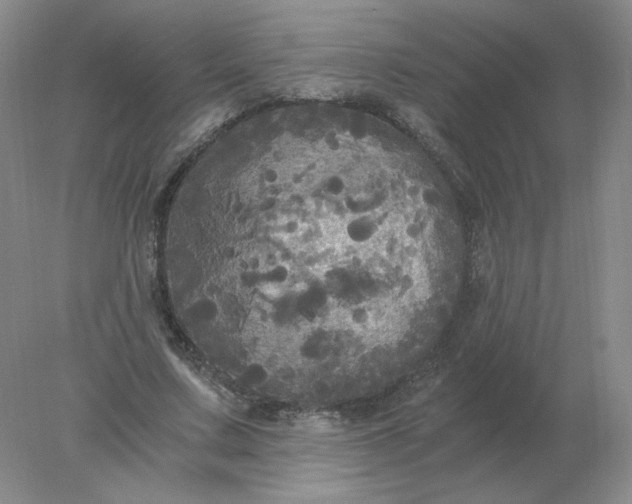 X0000078300683200611172149